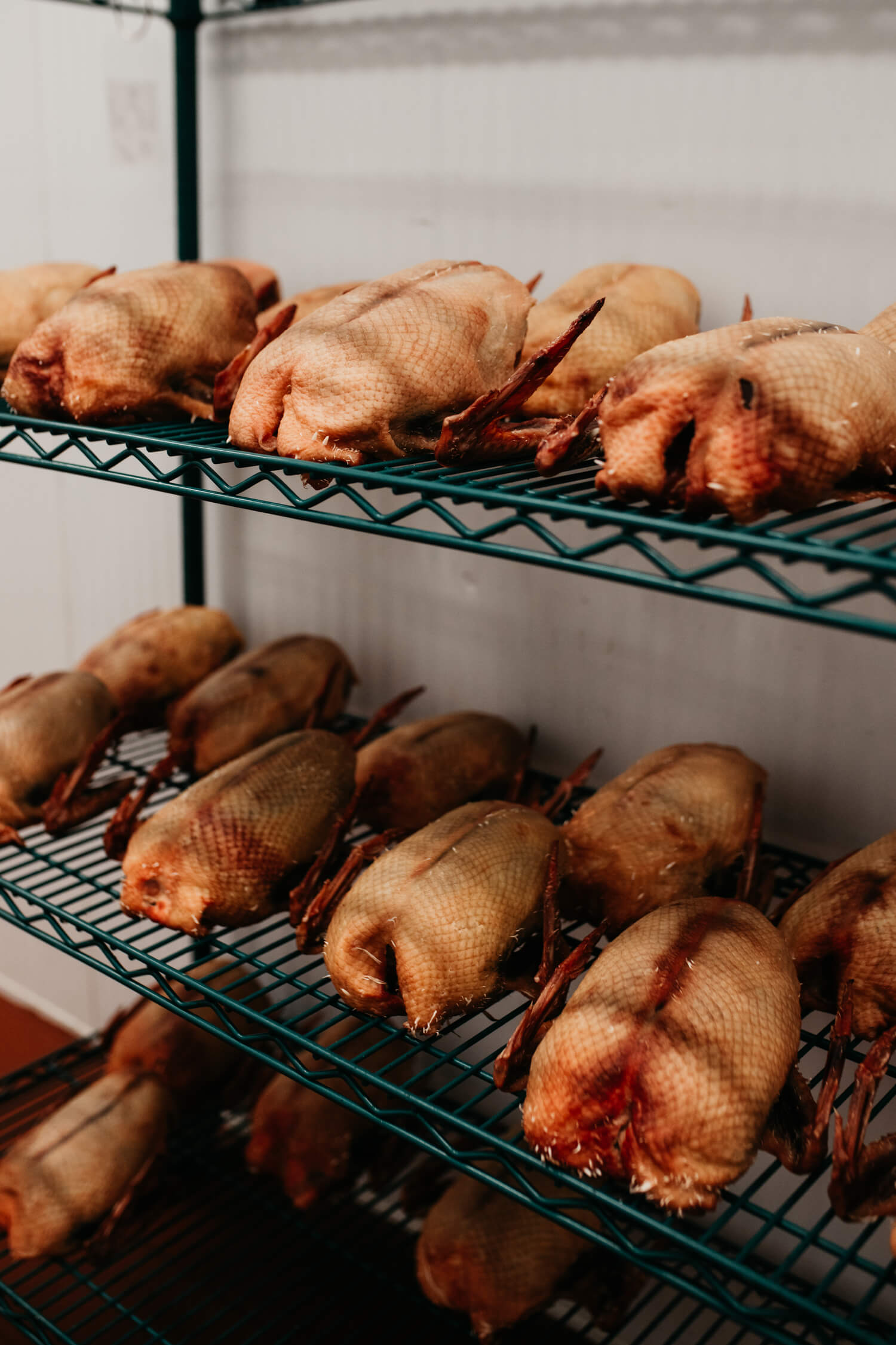 Whole poultry arranged on metal racks in a storage room.