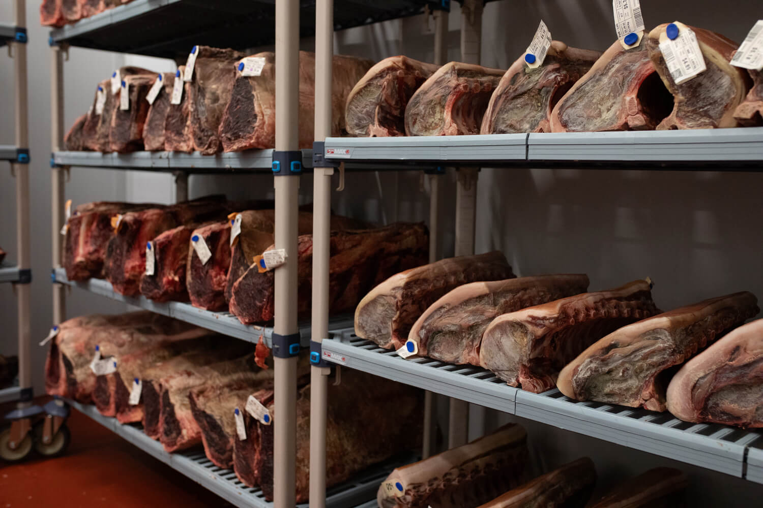 Close-up of meat cuts with labels on metal shelves.