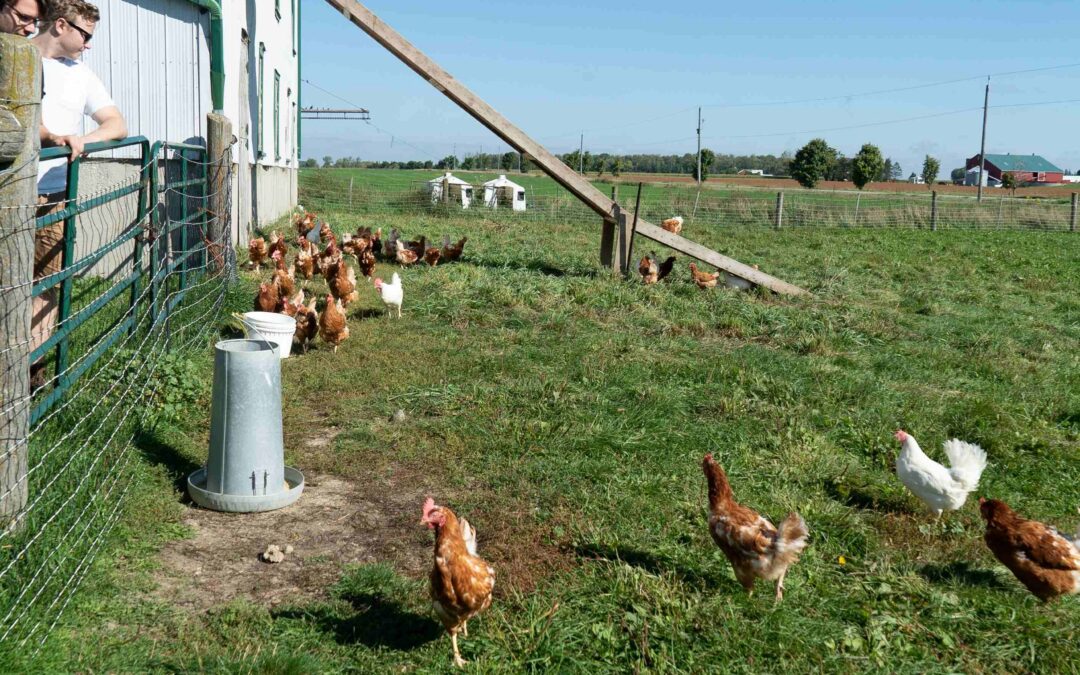 Fenwood farms 