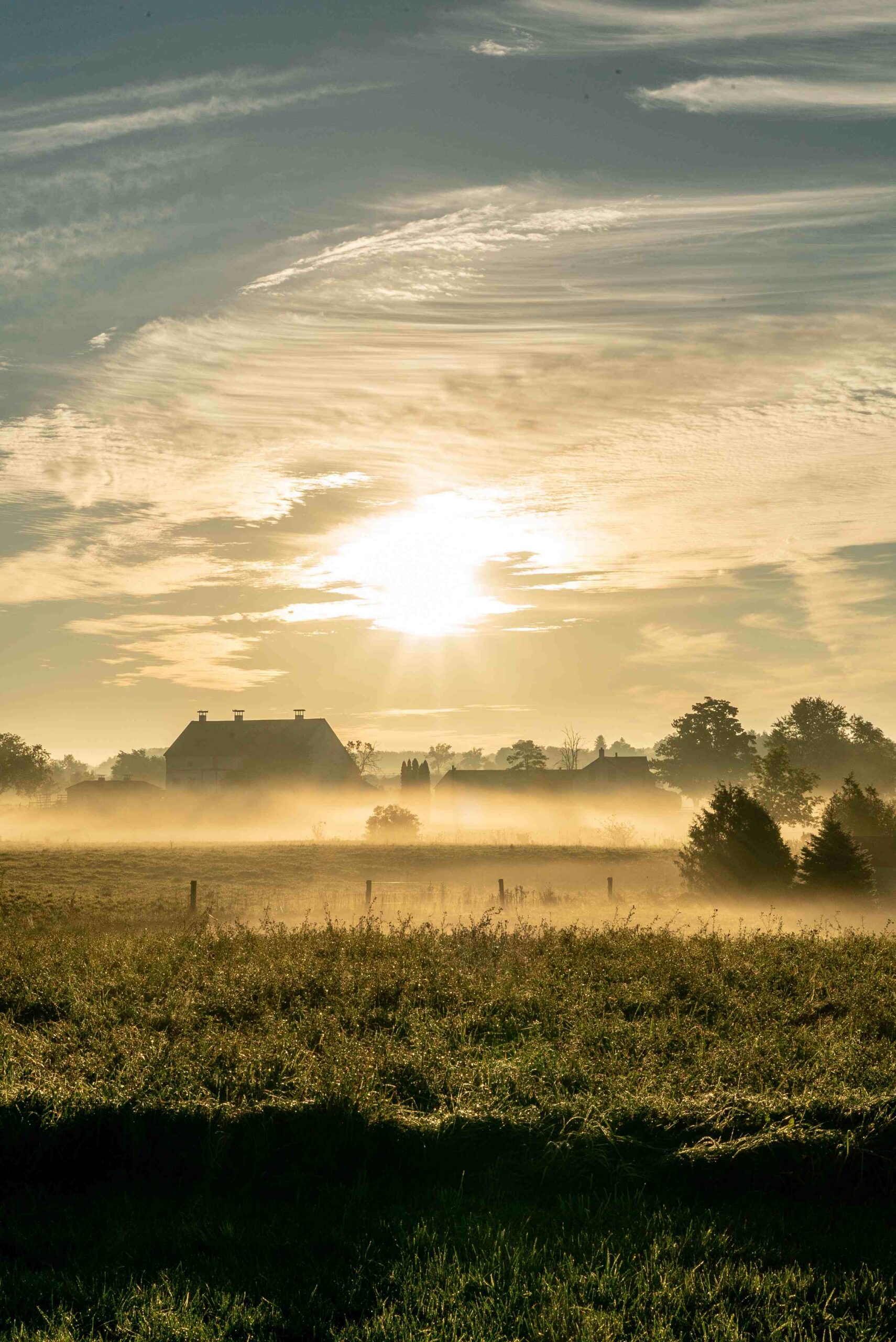 Sun rising over a misty farm field with a farmhouse and trees in the background.