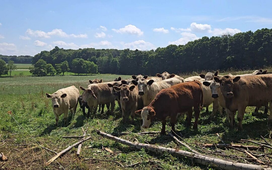 Zettel Family Farms 